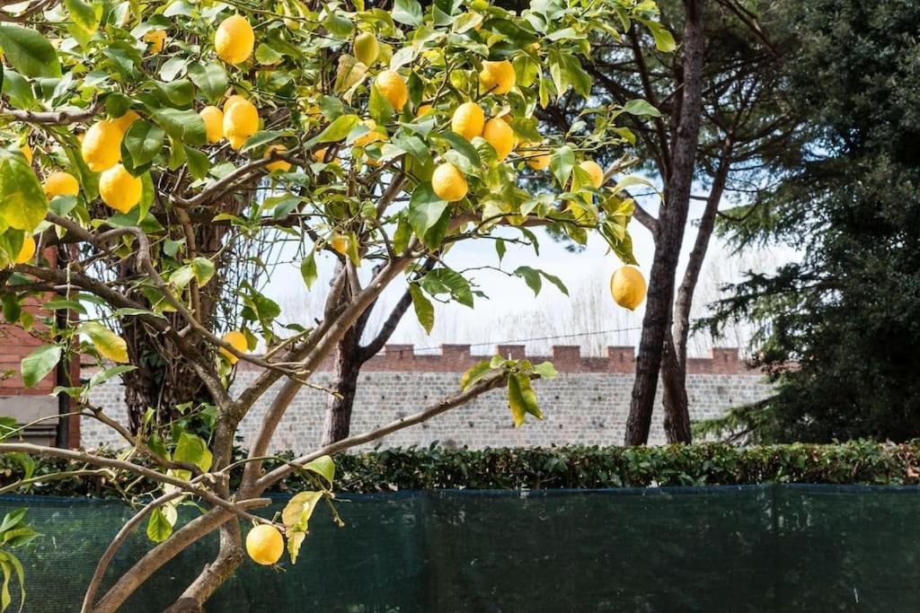 Lemon House Apartamento