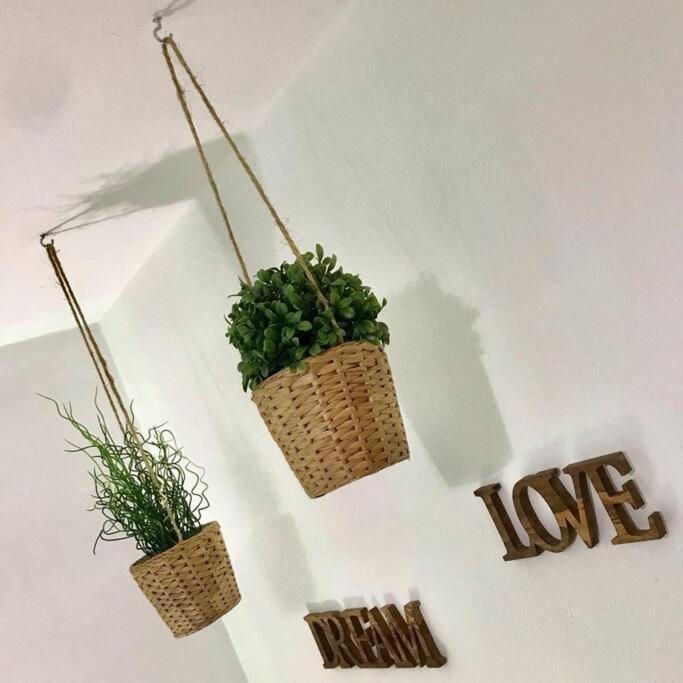 Apartamento Lemon House *